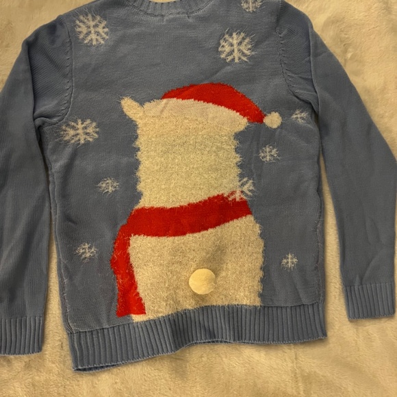 Aeropostale Christmas/Winter Sweater - Picture 4 of 6